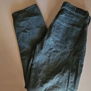 American Eagle Outfitters Forest Green Corduroy Trousers